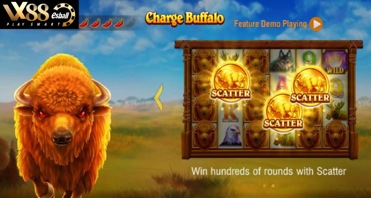 Animal Slot Games - Bonus Game đặc biệt