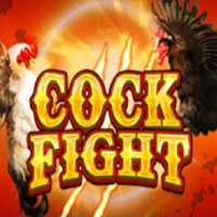 JDB Cock Fight Slot Game