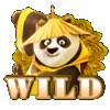 JDB Dragon Warrior Slot Game, Biểu tượng Wild